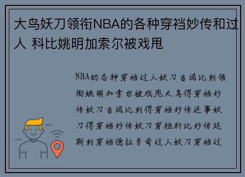 大鸟妖刀领衔NBA的各种穿裆妙传和过人 科比姚明加索尔被戏甩
